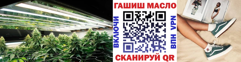 Купить закладки  Бабаево  Дистиллят ТГК THC oil 